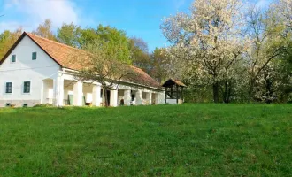 Saniertes Bauernhaus in Alleinlage inmitten der Natur im Dreiländereck Slowenien-Österreich-Ungarn