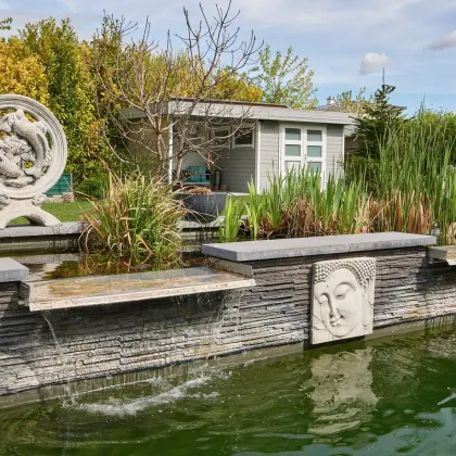 Wunderschönes Top ausgestattetes Einfamilienhaus in Winden am See - Bild 3