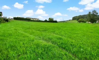 Ihr Platz für ein Traumhaus. - Naturnahes Wohnbau-Grundstück zwischen Mattighofen und Ried.