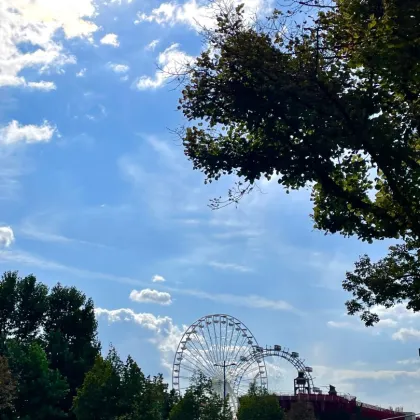 TOP Investment - Prater gegenüber - unbefristet vermietete Altbauwohnung - Bild 2