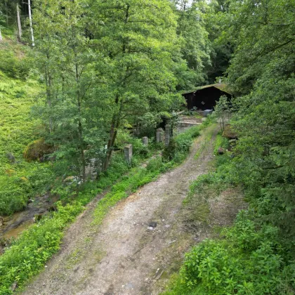 Großzügiges Grundstück in idyllischer Lage - 3092m² in Oberkalmberg, Oberösterreich - Bild 3