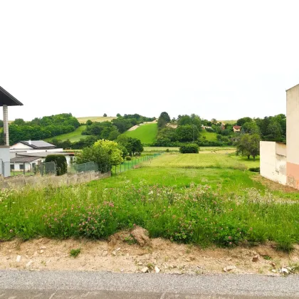 Traumhaftes Baugrundstück in idyllischer Lage - Hautzendorf, Niederösterreich - Bild 2