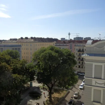 Geniale und sonnige Garçonnière - gleich bei U3 Kardinal-Nagl-Platz - Bild 3