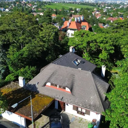 1.452m² in der LOHNSTEINSTRAßE, die ehemalige Villa von Johannes Heesters in Perchtoldsdorf - Bild 3