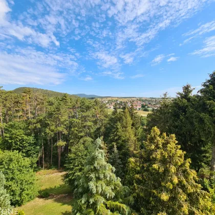 Wunderschönes Zweifamilienhaus in Berndorf! - Bild 3