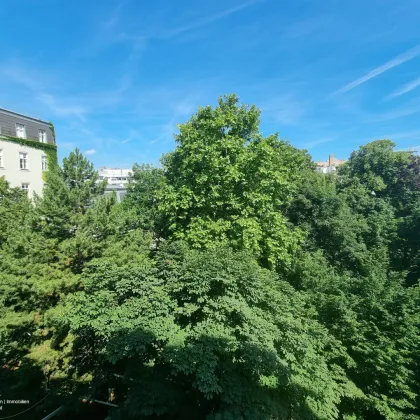 Perfekte Grün- und Hofruhelage in der Taubstummengasse! Gepflegte Wohnung mit Loggia und Tiefgaragenplatz! - Bild 2