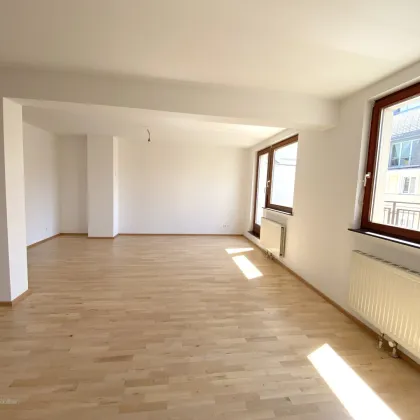 Familienwohnung mit Terrasse nähe Belvederegarten - Bild 2