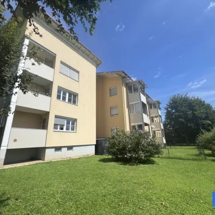 Charmante 2 - Zimmer Wohnung mit Garten und Loggia in Ruhelage Nähe Klopeiner See - Bild 3