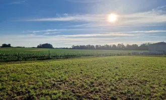 Toller Baugrund in zentraler Lage von Vorchdorf zu kaufen