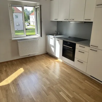 3-Zimmer-Wohnung in der Nähe von Wien - Bild 2