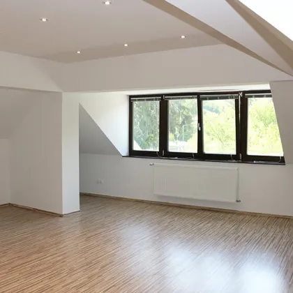 *** LOFTARTIGES DACHGESCHOSS *** UNBEFRISTET *** GROSSE GARTENANLAGE ***  WOHNUNG oder BÜRO/ORDI/KANZLEI *** VR - RUNDGANG *** - Bild 2