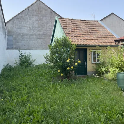 Entspannung pur: Ferienhaus in ruhiger Lage (Retzer Land) - Bild 3