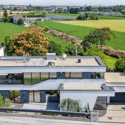 Luxuriöses Wohnen in Traumhaus mit dem wohl atemberaubendsten Ausblick der Stadt - Direkt an der Alten Donau - Bild 3