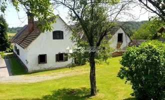 Bauernhaus, ca. 90m², 100 Jahre alt, mit ca. 6000m² arrondierendem Grund, davon ca. 3700m² Bauland.