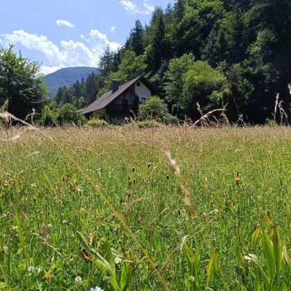 EINFAMILINHAUS - REFUGIUM  BEIM SCHNEEBERG - Bild 3