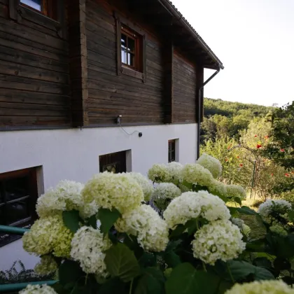 PARADIESISCH - EINFAMILIENHAUS in traumhafter  Aussichtslage - Bild 3