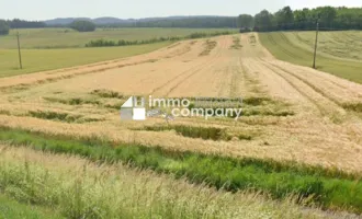 Erwerben Sie Ihr eigenes Agrarparadies im Burgenland - 16.920m² Landwirtschaft zum Kauf für 135.360,00 €!