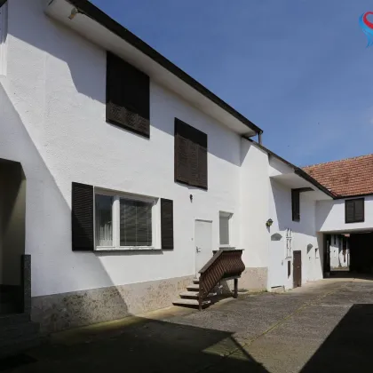 Burgenländisches Bauernhaus mit vielfältigen Nebengebäuden, großer Scheune, ruhige Lage - Bild 3