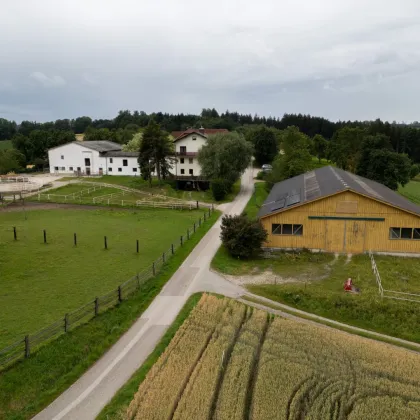 Landwirtschaftliches Anwesen mit Reiterhof im Speckgürtel von  Wels - Bild 2