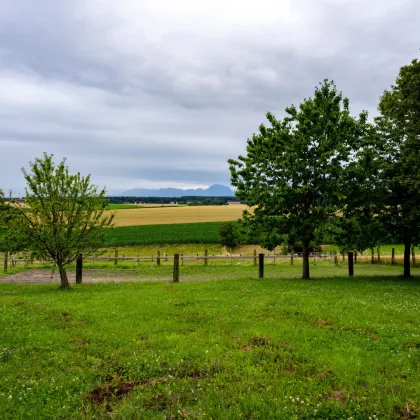 Landwirtschaftliches Anwesen mit Reiterhof im Speckgürtel von  Wels - Bild 3