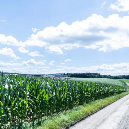 Perfekte Betriebsbaulage in Wolfern - Bild 3