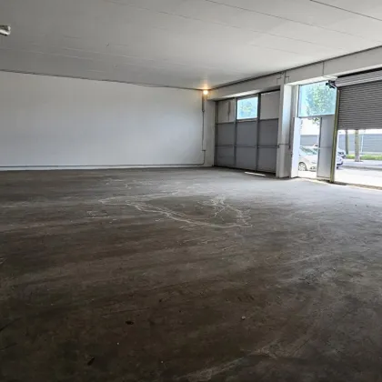 Attraktive Halle mit ca. 331 m2 in 1220 Wien zu vermieten - Bild 2