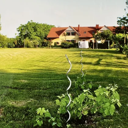 Exklusive große Seeliegenschaft in Ungarn: Traumhaus mit 15 Zimmern, Garage und idyllischem Garten - Bild 2