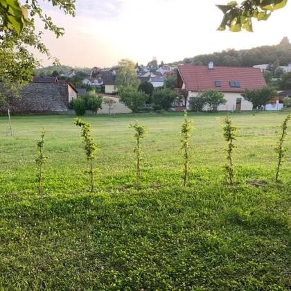 Baugrundstück Leobendorf Zentrum unter der Burg Kreuzenstein - Bild 3