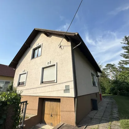 Sanierungsbedürftiges Haus in Wienerherberg | Grundfläche ca. 552 m² | Gartengasse - Bild 2