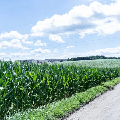 Perfektes Gewerbegrundstück mit Grünblick in Wolfern - Bild 3