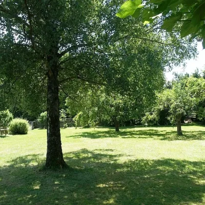 Wiesfleck - Einfamilienhaus mit großem Garten - Bild 2