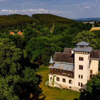 Prachtvolle Villa - ein seltenes Juwel der Architekturgeschichte! - Bild 3