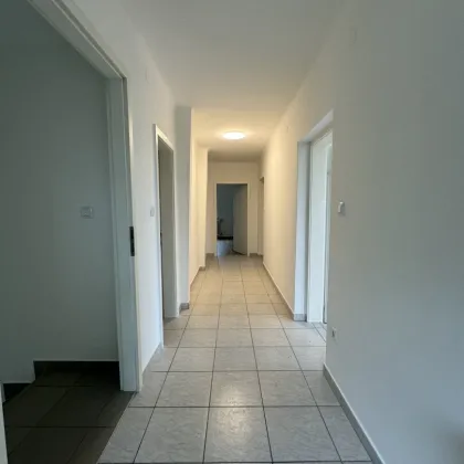 Laßnitzhöhe nahe Krachelberg, interessante Lage, 2 Zimmer ca.86,00 m², ca. 90 m² Terrasse, Gartenbenützung - Bild 2