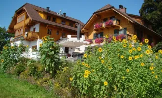 Moderne Traumwohnung mit Südterrasse in Mariapfarr!