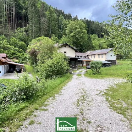 (VIDEOS & DROHNE) Wunderschönes Grundstück mit Altbestand (Abriss oder Sanierung) beim Wald in absoluter Ruhe- & Naturlage. Teilbar bzw. jeweils 20-30% bebaubar. - Bild 3