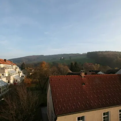 Geförderte Mietwohnung im Dachgeschoss - Bild 3