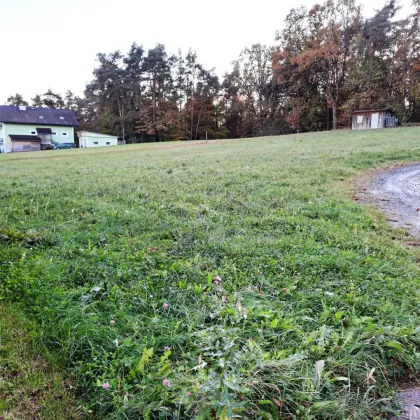 Traumhaftes Grundstück in absoluter Ruhelage – Ihr Paradies auf 819 m² - Bild 2