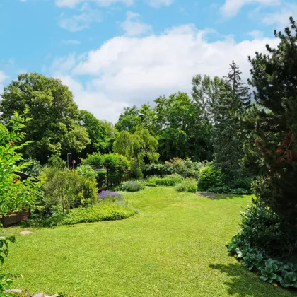 Einfamilienhaus mit Potenzial und tollem Garten an der Wiener Stadtgrenze - Bild 3