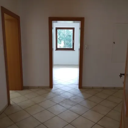 3 Zimmer Wohnung mit großem Balkon in Pitten zu vermieten! - Bild 3