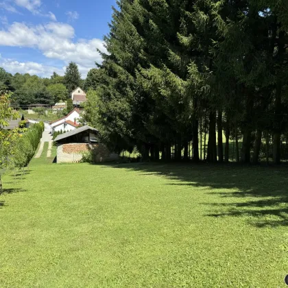 Gepflegtes, saniertes Einfamilienhaus in schöner Ruhelage - Bild 3