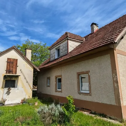 Ende September zu besichtigen: Haus auf großem Grundstück Hörsching - Bild 2