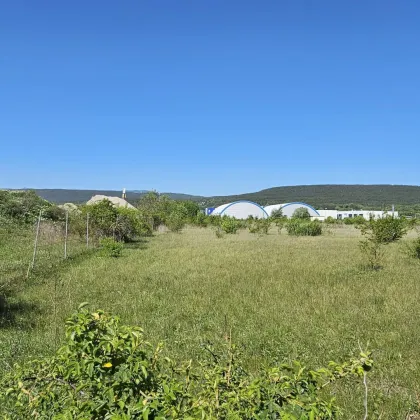 Bad Fischau: Gewerbe-/Industriegrundstück (10.963 m²) Nähe A2 - Baurecht/Kauf - Bild 3