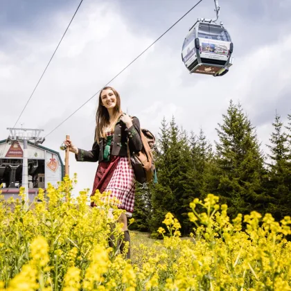 TOP RENDITE - GEWERBEOBJEKT MARIAZELL - Bild 2