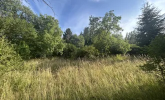 Traumhaftes ruhiges Grundstück mit Blick ins Grüne