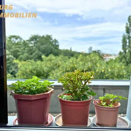 LEBEN IN DER NÄHE VOM SIMMERINGER SCHWIMMBAD & ERHOLUNGSGEBIET! - Bild 2