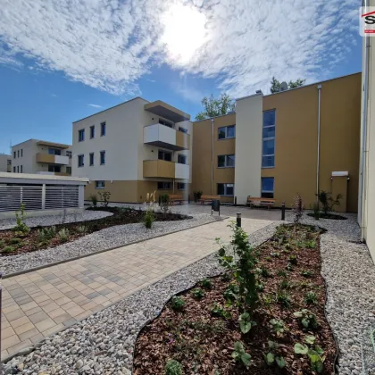 „GO 2 EISENSTADT 4 LIVING“- 3-Zimmer-Wohnung mit Garten und Terrasse zur Steigerung der Wohnqualität - Bild 3