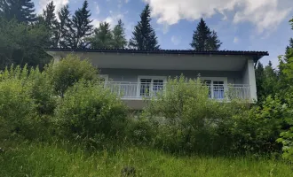 Familienfreundliches Haus mit Panoramablick in Steinhaus am Semmering