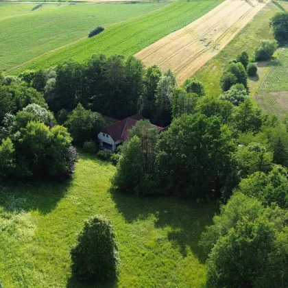 20 Minuten vor den Toren Wiens I Weitläufiges Anwesen im Wienerwald auf 17.900 m² Grundstücksfläche mit Privatsee und Hallenbad! - Bild 2