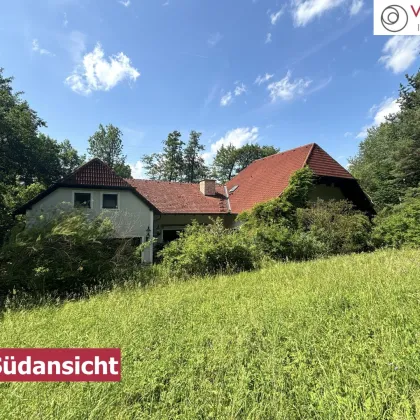 20 Minuten vor den Toren Wiens I Weitläufiges Anwesen im Wienerwald auf 17.900 m² Grundstücksfläche mit Privatsee und Hallenbad! - Bild 3