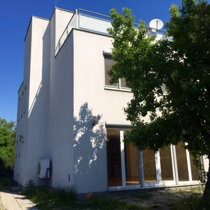 HAUS-MIETE- Wunderschönes Doppel-Haus mit herrliche Terrasse & Garten - BRUCKHAUFEN - Nähe Donauturm - Uno-City! - Bild 2